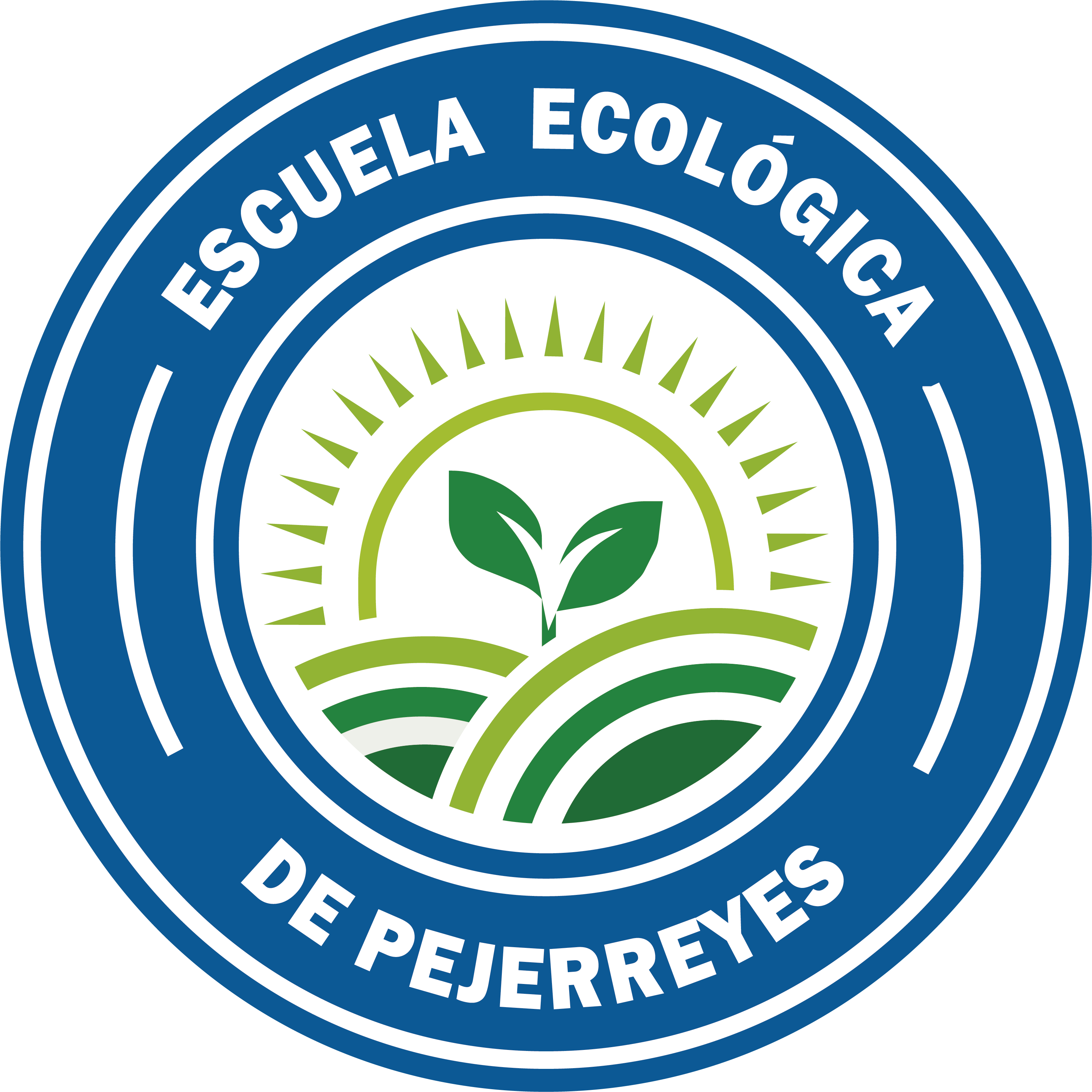 insignia Escuela
